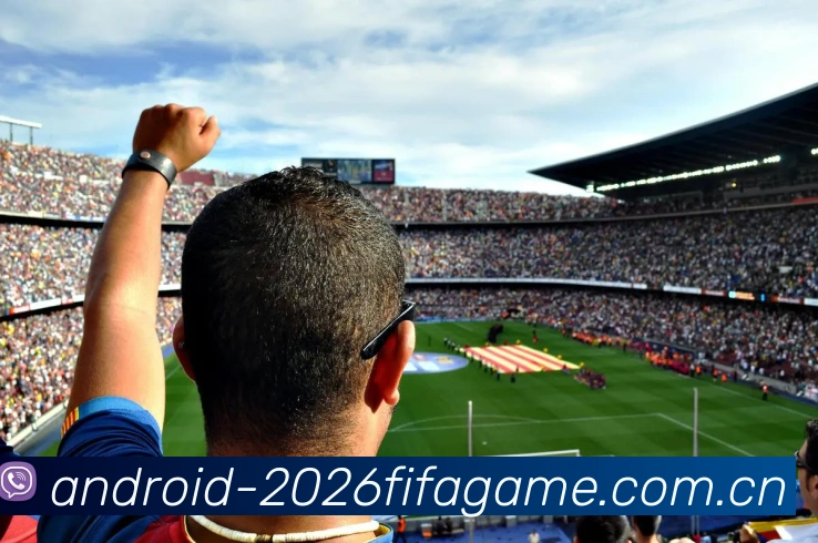 FIFA官方数据授权认证